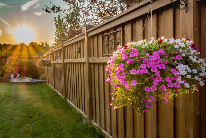 Fence Repair Handy Dave